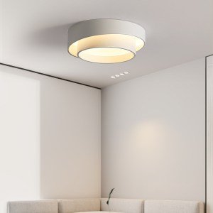 LTB04 suspended or mounted led ceiling light morden design for living room